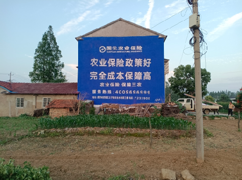 新野墙体广告的优劣势你知道吗？